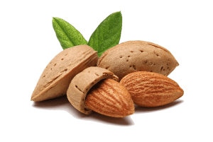 Footer Almond